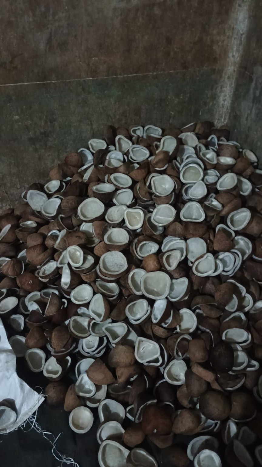Actual edible-quality copra stock supplied by TG Trader
